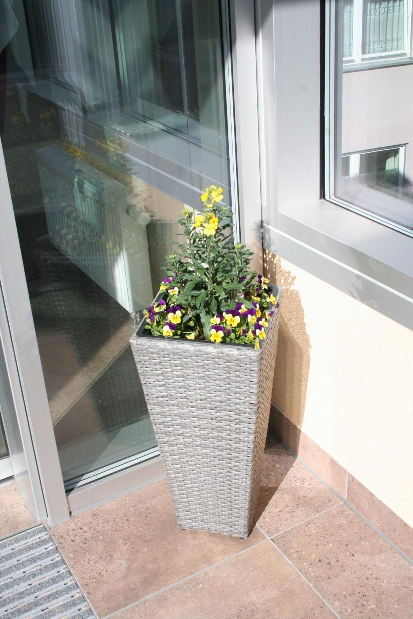 Hotel Sonnenhof Bad Wildbad Dış mekan fotoğraf